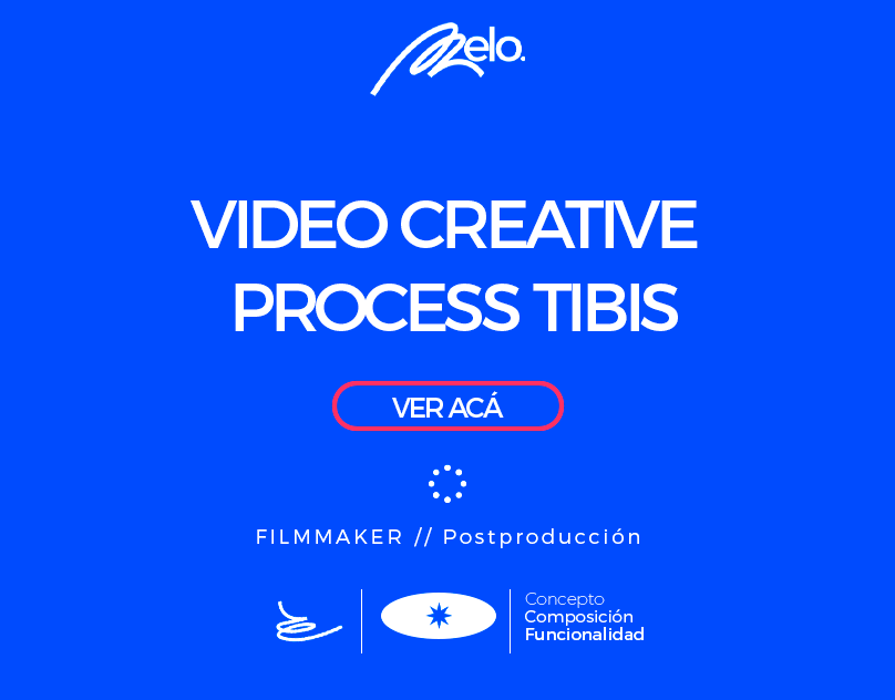 TIBIS